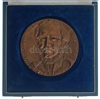 Domonkos Béla (1934-2020) 1995. "Gróf Széchenyi István - Zirc 1995" egyoldalas, öntött bronz plakett, nem saját dísztokban (~105mm) T:AU