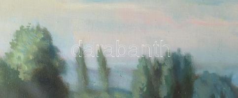 Olaszy Sándor (1902-1976): Dunakanyar. Olaj, vászon, jelezve jobbra lent. Dekoratív fakeretben, 60×8...