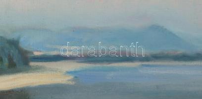 Olaszy Sándor (1902-1976): Dunakanyar. Olaj, vászon, jelezve jobbra lent. Dekoratív fakeretben, 60×8...