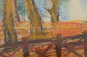 Tábori József (1928-2001): Tatai tó. Kréta, papír. Jelzett. Üvegezett fakeretben, 21x32 cm