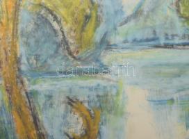 Tábori József (1928-2001): Tatai tó. Kréta, papír. Jelzett. Üvegezett fakeretben, 21x32 cm