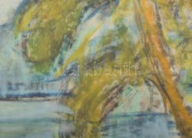 Tábori József (1928-2001): Tatai tó. Kréta, papír. Jelzett. Üvegezett fakeretben, 21x32 cm