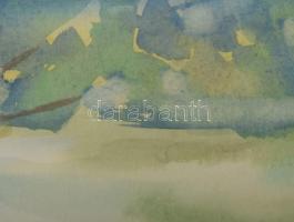 Molnár József (1922?2014): Bodrog. Akvarell, papír, jelzett, üvegezett fakeretben. 22,5x29 cm