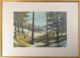 Olvashatatlan jelzéssel, XX. sz. vége: Hangulatos táj. Akvarell, papír, üvegezett fakeretben, 32x48 cm