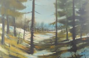 Olvashatatlan jelzéssel, XX. sz. vége: Hangulatos táj. Akvarell, papír, üvegezett fakeretben, 32x48 ...