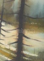 Olvashatatlan jelzéssel, XX. sz. vége: Hangulatos táj. Akvarell, papír, üvegezett fakeretben, 32x48 ...