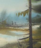 Olvashatatlan jelzéssel, XX. sz. vége: Hangulatos táj. Akvarell, papír, üvegezett fakeretben, 32x48 ...