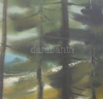 Olvashatatlan jelzéssel, XX. sz. vége: Hangulatos táj. Akvarell, papír, üvegezett fakeretben, 32x48 ...