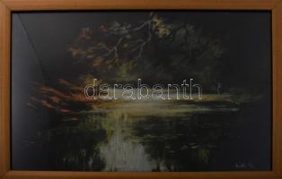 Máté Sándor (1954-): Erdei patak. Pasztell, papír. Jelzett. Üvegezett fakeretben, 33x50 cm