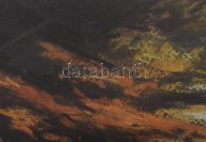 Máté Sándor (1954-): Erdei patak. Pasztell, papír. Jelzett. Üvegezett fakeretben, 33x50 cm