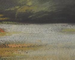 Máté Sándor (1954-): Erdei patak. Pasztell, papír. Jelzett. Üvegezett fakeretben, 33x50 cm