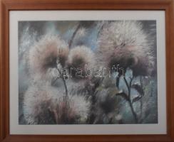 Máté Sándor (1954-): Pitypangok. Pasztell, papír. Jelzett. Üvegezett fakeretben, 30,5x47,5 cm