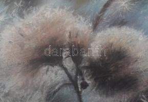 Máté Sándor (1954-): Pitypangok. Pasztell, papír. Jelzett. Üvegezett fakeretben, 30,5x47,5 cm