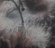 Máté Sándor (1954-): Pitypangok. Pasztell, papír. Jelzett. Üvegezett fakeretben, 30,5x47,5 cm