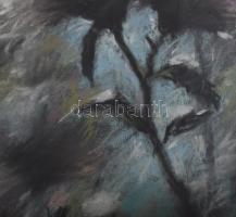 Máté Sándor (1954-): Pitypangok. Pasztell, papír. Jelzett. Üvegezett fakeretben, 30,5x47,5 cm