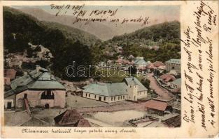 Horgospataka, Strambu (Máramaros, Maramures); határszéli horgos pataki arany olvasztó / gold mine near the border (EK)