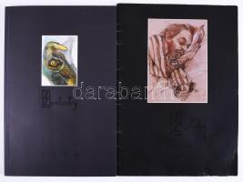 Zvolszky. Zvolszky Zita kiállítási katalógus. 1998. DEDIKÁLT, 2 db katalógus és meghívó, egyik katalógus megviselt állapotban.