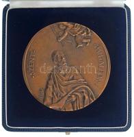 Palotás József (1947-) 1992. "Szent Pantaleon" egyoldalas bronz érdemérem díszdobozban, hátoldalán névre szóló gravírozással és "Sorszám:1" számozással (94mm) T:AU