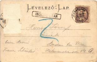 1900 Dobsina, Dobschau; Üdvözlet a dobsinai jégbarlangból. A város látképe, jégbarlang, belső, kút. ...