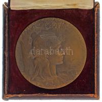 Franciaország 1900. "Francia Köztársaság / Párizsi Világkiállítás 1900" kétoldalas bronz e...