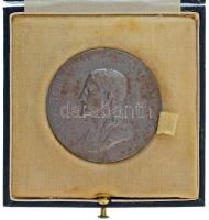 Ausztria 1917. "Salvator Mundi" kétoldalas Fe emlékérem eredeti tokban. "SALVATOR MVNDI / AVRO PRO SOLITO DANT FERREA TEMPORA FERRVM - MVNVS R.P. VIENNENSIS" (45mm) T:XF rozsdafoltok Austria 1917. "Salvator Mundi" double-sided Fe commemorative medal in original case. "SALVATOR MVNDI / AVRO PRO SOLITO DANT FERREA TEMPORA FERRVM - MVNVS R.P. VIENNENSIS" (45mm) C:XF rust spots