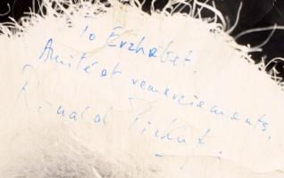 Ronald Pickup (1940-2021) angol színész aláírt fotója, Einstein szerepébe, erősen megviselt + Glenn ...