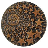 1980. "Az első közös űrrepülés emlékére" öntött bronz emlékérem (83mm) T:XF
Hungary 1980....
