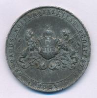 1881. "Országos Nőiparkiállítás Budapesten" öntött Al emlékérem. "KOBURG HERCEGNÉ AZ ORSZ. NŐIPARKIÁLLÍTÁS VÉDNÖKE / ORSZÁGOS NŐIPARI KIÁLLÍTÁS BUDAPESTEN 1881" (36mm) T:XF ph.