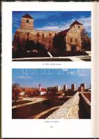 Szíj Rezső: Várpalota 2000. Műemlékek - emlékhelyek. Műalkotások - városképek. Várpalota, 2000. Kiad...