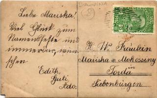 1910 Calinesti, Kalinestie (Bukovina, Bucovina, Bukowina); Kalinestie-Marin / castle of Gusztáv Mari...