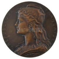 Franciaország 1927. "Union Interparlementaire 24e Conférence Paris 1927 / Republique Francaise (Interparlamentáris Unió 24. konferenciája, Párizs, 1927 / Francia Köztársaság)" bronz emlékérem (50mm) szign.: Henri Dubois T:XF kis ph. France 1927. "Union Interparlementaire 24e Conférence Paris 1927 / Republique Francaise (Inter-Parliamentary Union 24th Conference Paris 1927 / French Republic)" bronze medallion (50mm) sign: Henri Dubois C:XF small edge error