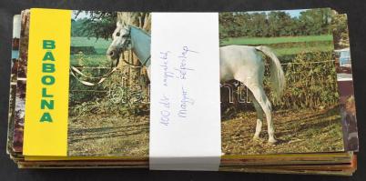 100 db MODERN nagyalakú magyarországi város képeslap / 100 modern large-sized Hungarian town postcards