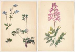 VIRÁGOK - 10 db MODERN lengyel motívum képeslap (sorozat) / FLOWERS - 10 modern Polish motive postcards (series)