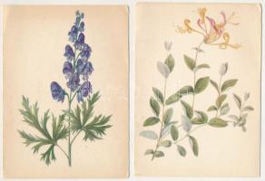 VIRÁGOK - 10 db MODERN lengyel motívum képeslap (sorozat) / FLOWERS - 10 modern Polish motive postca...