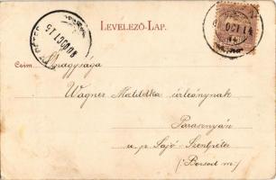 1900 Miskolc, Hámori vízesés. Ferenczi B. kiadása (EK)