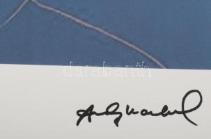 Andy Warhol (1928-1987): Elvis. Ofszet litográfia, papír, jelzett a nyomaton. Kézzel sorszámozott: 7...