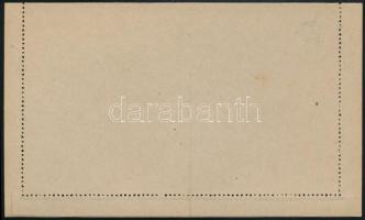 SHS 1919 Horvát nyelvű, díjjegyes zárt levelezőlap, használatlan, Bodor vizsgálójellel