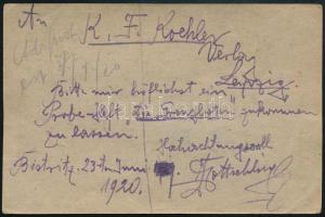 Kolozsvár 1920 10 bani felülnyomott díjjegyes levelezőlap, "BESZTERCZE" - Lipcse, Bodor vi...