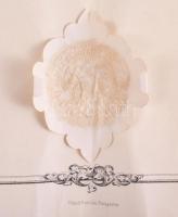 1898 Bp., a M. Kir. József Műegyetem által kiállított mérnöki bizonyítvány (absolutorium), Schimkó G...