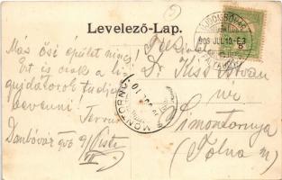 1906 Dombóvár, Korona szálloda, kávéház, szekér. Bruck Sándor kiadása. + "ÚJDOMBÓVÁR PÁLYAUDVAR...