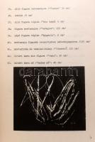 Kovács Ákos (Szerk.): Budapesti falfirkák. A Műcsarnok és a Országos Közművelődési Központ közös kiá...