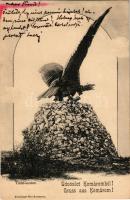 1902 Bánhida (Tatabánya), Turul szobor. Freisinger Mór kiadása - tévesen "Komárom" / Komárno (ázott sarok / wet corner)