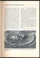 Szántó György Tibor: Anglia története. Bp., 1987, Kozmosz Könyvek. Második kiadás. Fekete-fehér képe...