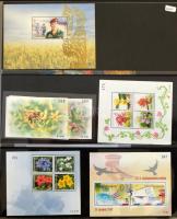 Thaiföld kb. 150 db blokk + néhány sor nagy gyűrűs blokkberakóban és közepes berakóban