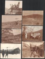 38 darab fotó orosz harctérről, vegyes állapotban, 9x12 cm alatt