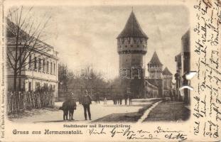 Nagyszeben city theatre and Harteneck tower (b)