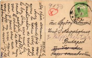 Boksánbánya, Várboksán, Románbogsán, Németbogsán, Deutsch-Bogsan, Bocsa Montana; Fő utca, piac, üzle...