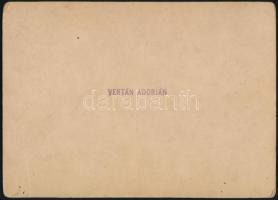 cca 1900-1910 A magyarbánhegyesi Vertán család tagjai, keményhátú fotó, a hátoldalon Vertán Adorján ...