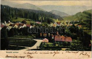 1905 Borszék, Borsec; villák, nyaralók. Soós kiadása / general view, villas (EK)