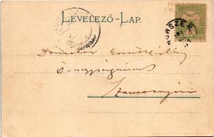 1905 Borszék, Borsec; villák, nyaralók. Soós kiadása / general view, villas (EK)